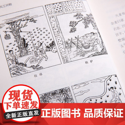 天工开物 宋应星 著 国学古籍