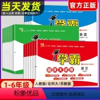 [6册??作业本+大试卷]语数英-全国人教 六年级下 [正版]2024春小学学霸提优大试卷一年级二年级三年级四五六上册语