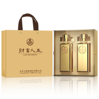 五粮液股份财富人生金砖双支礼盒52度500ml*2瓶