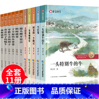 [正版]全套11册 曹文轩系列儿童文学 杨红樱系列书 全套名师指导9-12岁小学生必读课外阅读书籍 四五六年级课外