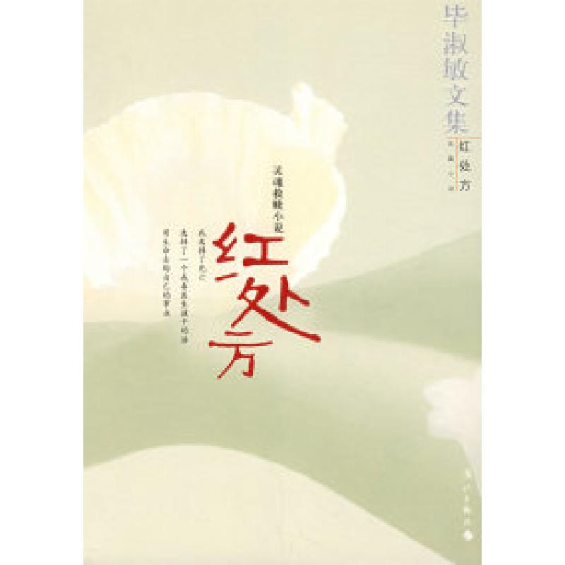 正版新书]红处方:灵魂救赎小说毕淑敏9787540739119