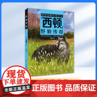 野狼传奇 [加]西顿/ 原著fbx安韶编/安徽少年西顿动物小说野狼传奇