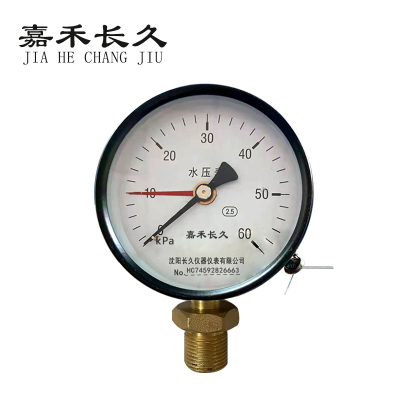 嘉禾长久/水压表检测定制型/Y100 0-60Kpa/个
